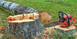 Best Tree Risk Assessment  in Columbus, NC