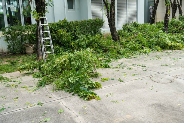 Best Arborist Consultation Services  in Columbus, NC
